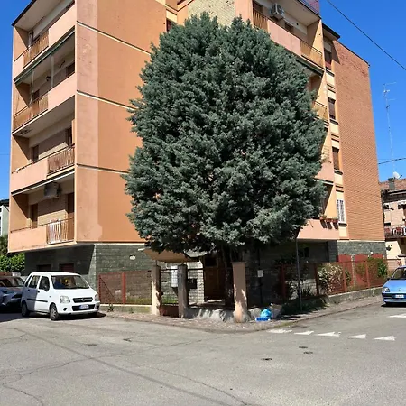 Orchidea Apartment *